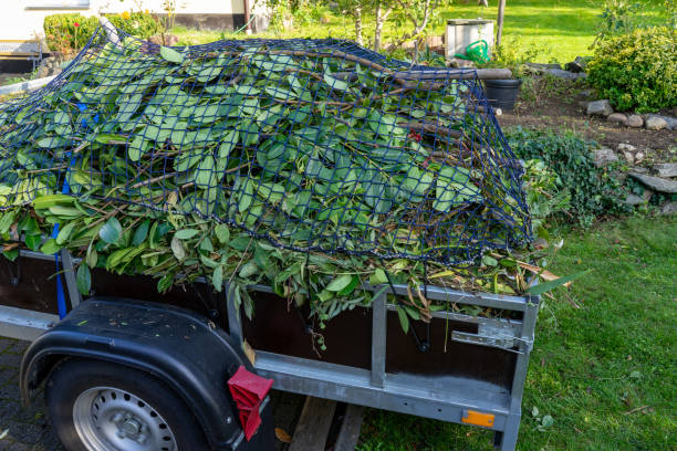 Best Hoarding Cleanup  in Port Republic, NJ